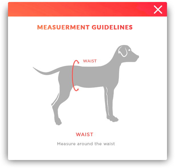 How to measure your dog?